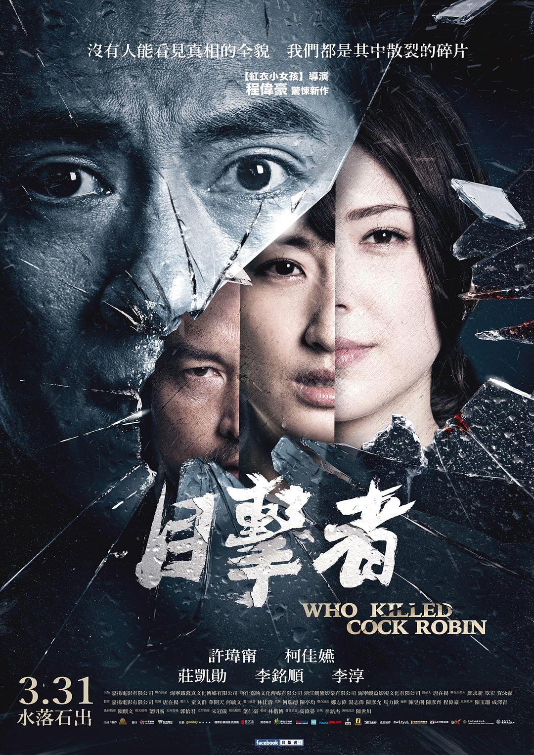 目击者之追凶 电影海报